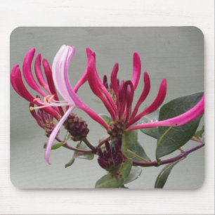 Pink Honeysuckle Flower Mousepad Muismat