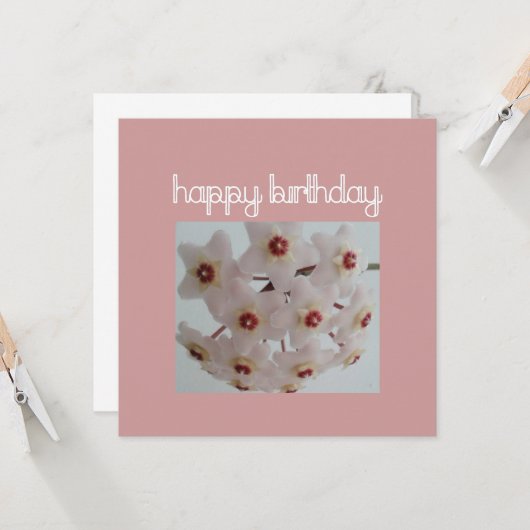 Pink Hoya Flower Birthday Kaart (Voorkant / Achterkant in situ)