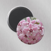 Pink Hoya Plant Flowers Floral Magneet