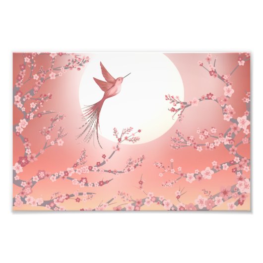 Pink hummingbird moonlight Calm art poster  (Voorkant)