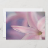 Pink Hyacinth Flower Spring Equinox Celebration Kaart (Achterkant)