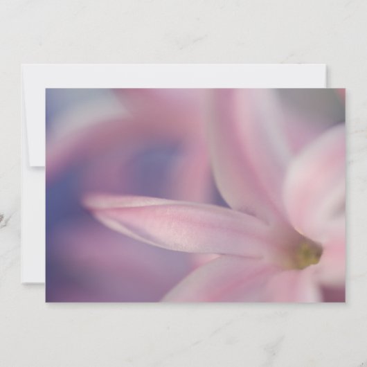 Pink Hyacinth Flower Spring Equinox Celebration Kaart (Achterkant)
