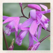 Pink Hyacinth Orchid Floral Glazen Onderzetter (Voorkant)