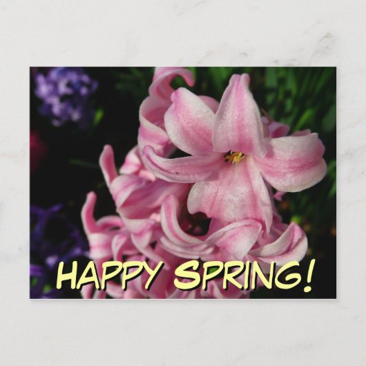 Pink Hyacinth Spring Floral Briefkaart (Voorkant)