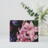 Pink Hyacinth Spring Floral Briefkaart (Staand voorkant)