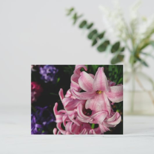 Pink Hyacinth Spring Floral Briefkaart (Staand voorkant)