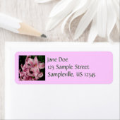 Pink Hyacinth Spring Floral Etiket (Insitu)