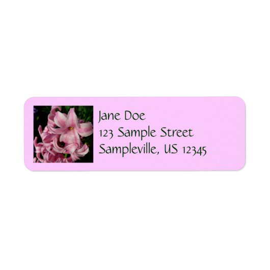 Pink Hyacinth Spring Floral Etiket (Voorkant)