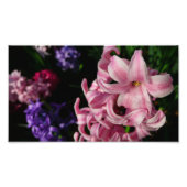 Pink Hyacinth Spring Floral Foto Afdruk (Voorkant)