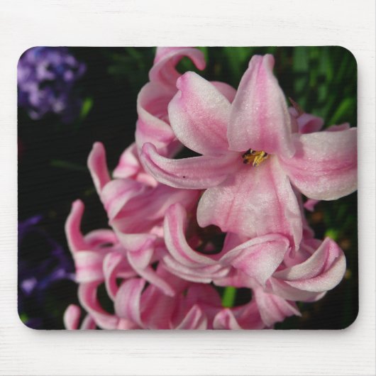Pink Hyacinth Spring Floral Muismat (Voorkant)
