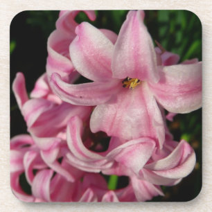 Pink Hyacinth Spring Floral Onderzetter