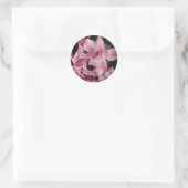 Pink Hyacinth Spring Floral Ronde Sticker (Tas)
