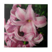 Pink Hyacinth Spring Floral Tegeltje (Voorkant)