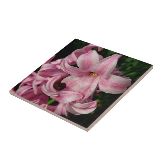 Pink Hyacinth Spring Floral Tegeltje (Zijkant)