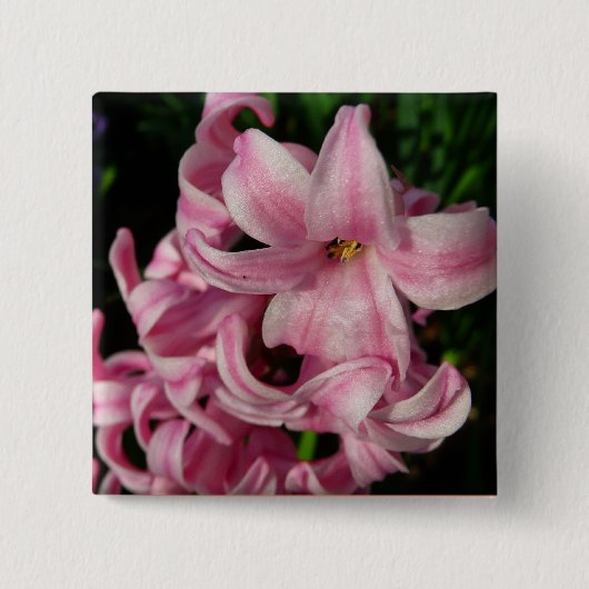Pink Hyacinth Spring Floral Vierkante Button 5,1 Cm (Voorkant)