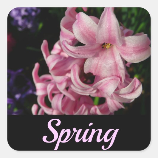 Pink Hyacinth Spring Floral Vierkante Sticker (Voorkant)
