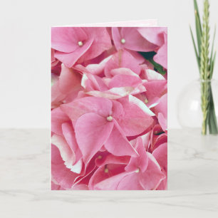 Pink Hydrangea Birthday Kaart