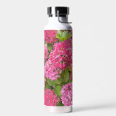 Pink Hydrangea Blooms Floral Waterfles (Links)