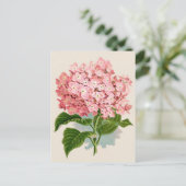 Pink Hydrangea Botanische druk Briefkaart (Staand voorkant)