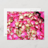 Pink Hydrangea Bouquet Briefkaart (Voorkant / Achterkant)