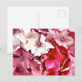 PINK HYDRANGEA BRIEFKAART (Voorkant / Achterkant)
