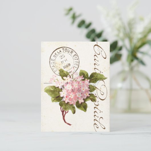 Pink Hydrangea Carte Postale Flower  Frans Briefkaart (Staand voorkant)