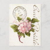 Pink Hydrangea Carte Postale Flower  Frans Briefkaart (Voorkant)