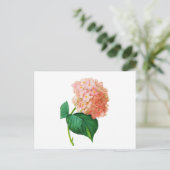 Pink Hydrangea door Pierre Joseph Redoute Briefkaart (Staand voorkant)