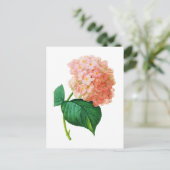 Pink Hydrangea door Pierre Joseph Redoute Briefkaart (Staand voorkant)