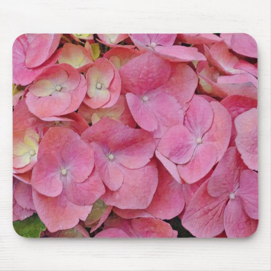Pink Hydrangea Flowers Close Up Art Muismat (Voorkant)