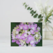 Pink Hydrangea Flowers Floral Briefkaart (Staand voorkant)