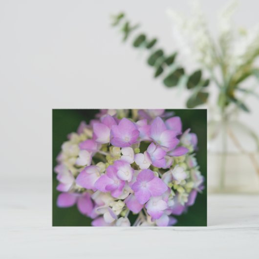 Pink Hydrangea Flowers Floral Briefkaart (Staand voorkant)