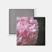 Pink Hydrangeas Magnets Magneet (Voorkant / Achterkant)