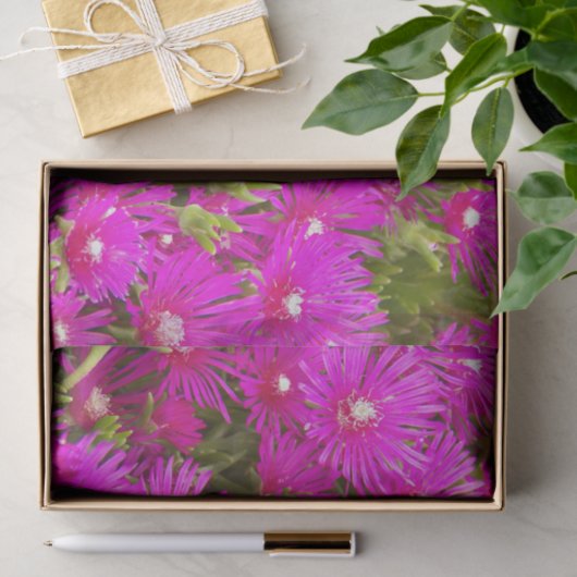 Pink Ice Plant Flowers Floral Tissuepapier (Geschenk)