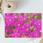 Pink Ice Plant Flowers Floral Tissuepapier