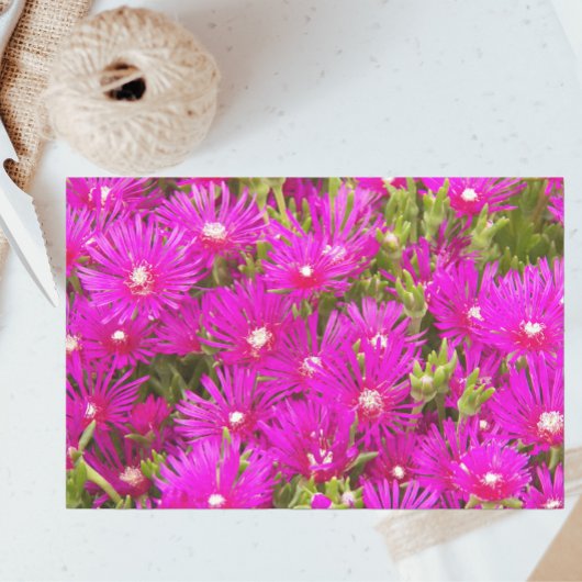 Pink Ice Plant Flowers Floral Tissuepapier