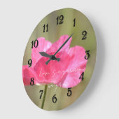 Pink Iceland Poppy Flower Photography   Grote Klok (Hoek)