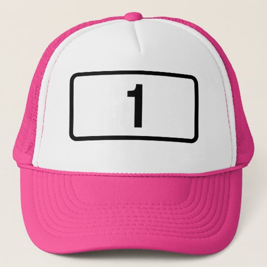 PINK IJsland Route 1 Ring Road Trucker Pet (Voorkant)