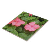 Pink Impatiens Flowers Tegel Tegeltje (Zijkant)