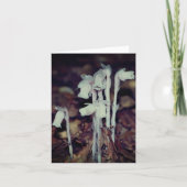 Pink Indian Pipe Wildflowers Nature Note Kaart (Voorkant)