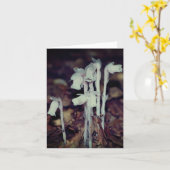 Pink Indian Pipe Wildflowers Nature Note Kaart (Gele Bloem)