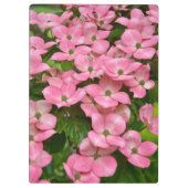 Pink kousa dogwood bloemen klembord (Achterkant)