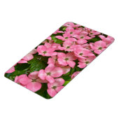 Pink kousa dogwood magnet magneet (Linkerzijde)