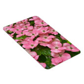 Pink kousa dogwood magnet magneet (Rechterzijde)