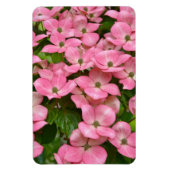 Pink kousa dogwood magnet magneet (Verticaal)
