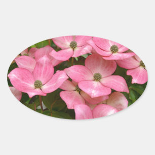 Pink kousa dogwood print ovale sticker