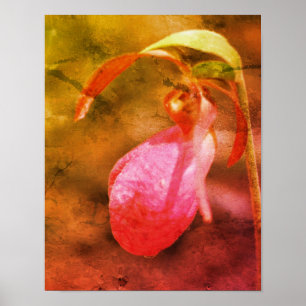 Pink Lady Slipper Orchidee Raindrop Distressed Art Poster