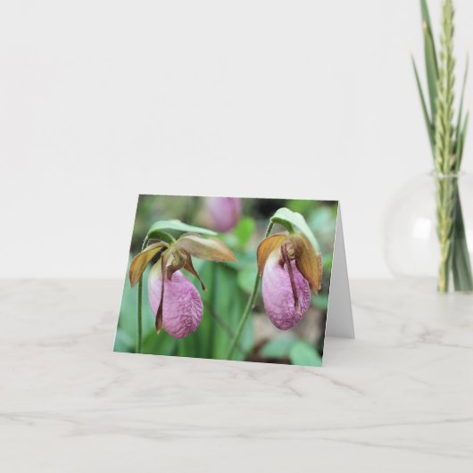 Pink Lady Slipper Orchids Flower Photography  Notitiekaartje (Voorkant)