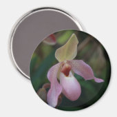 Pink Lady's Slipper Orchid Magneet (Voorkant / Achterkant)