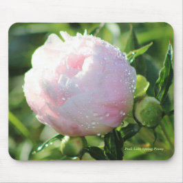 Pink Late Spring Peony Muismat